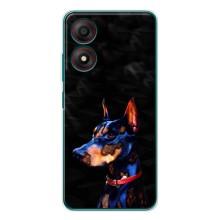 Бампер для ZTE Blade A34 с картинкой "Песики" (Собака Мопс)