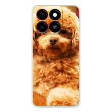Чехлы с собаками для ZTE Blade A35 (VPrint) (Щенок Бишон)