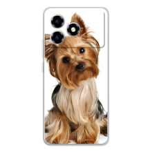 Чохол (ТПУ) Милі песики для ZTE Blade A36 – Пес Терьєр
