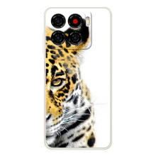 Чехлы с картинками животных ZTE Blade A56 (Леопард)