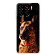 Чехлы с картинками животных ZTE Blade A56 (Овчарка)