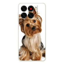 Чехол (ТПУ) Милые собачки для ZTE Blade A56 – Собака Терьер