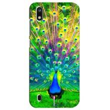 Чехол с птицами на ZTE Blade A7 (2019) (VPrint) (Яркий Павлин)