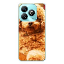 Чехлы с собаками для ZTE Blade A75 (VPrint) (Щенок Бишон)