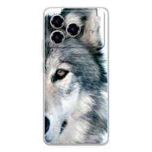 Чехлы с картинками животных ZTE Blade A76 (Волк)