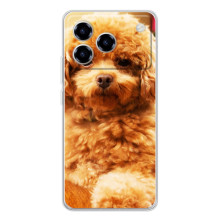 Чехлы с собаками для ZTE Blade A76 (VPrint) – Щенок Бишон