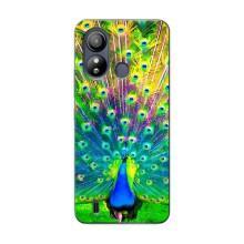 Чехол с птицами на ZTE Blade L220 (VPrint) (Яркий Павлин)