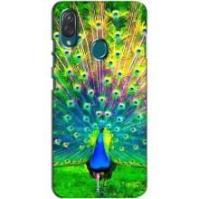 Чехол с птицами на ZTE Blade V10 Vita (VPrint) (Яркий Павлин)