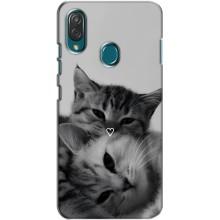 Чохол з малюнком кіт на ZTE Blade V10 Vita – Пара котів
