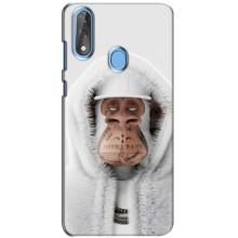 Чехлы с Обезьянами NFT для ZTE Blade V10 (AlphaPrint) (обезьяна NFT в тату)