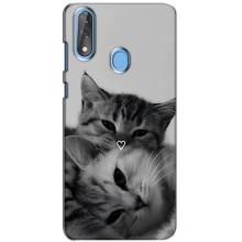 Чохол з малюнком кіт на ZTE Blade V10 – Пара котів