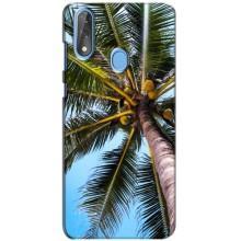 Силиконовый чехол с КАРТИНКАМИ лето для ZTE Blade V10 (AlphaPrint) – Пальма