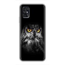 Чехлы с принтом СОВЫ для ZTE Blade V2020 Smart – Сова на чёрном