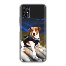 Чехол с принтом Собаки Патрон для ZTE Blade V2020 Smart (Пёс Патрон)