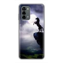 Чохли з зображенням різних тварин на Blade V40 Vita (Кінь)