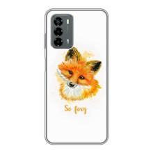 Чехлы с картинкой Лисички для Blade V40 Vita (VPrint)