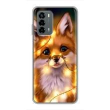 Чехлы с картинкой Лисички для Blade V40 Vita (VPrint)