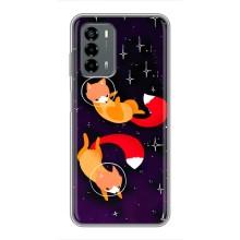Чехлы с картинкой Лисички для Blade V40 Vita (VPrint)