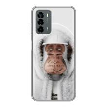 Чехлы с Обезьянами NFT для Blade V40 Vita (AlphaPrint)
