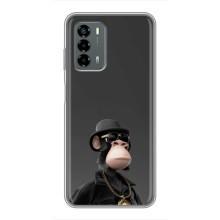 Чехлы с Обезьянами NFT для Blade V40 Vita (AlphaPrint)