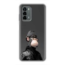 Чехлы с Обезьянами NFT для Blade V40 Vita (AlphaPrint)