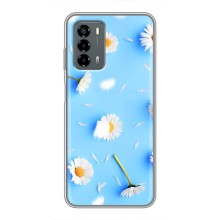 Чехол с Цветами для Blade V40 Vita (ромашки на голубом)