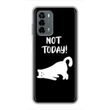 Бампер с изображением Котиков для ЗТЕ Блейд В40 Вита (Not Today)