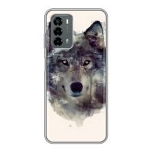 Чехол с Волком на Blade V40 Vita – Волк