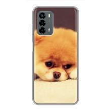 Чехол (ТПУ) Милые собачки для Blade V40 Vita – Померанский шпиц