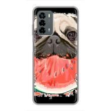 Чехол (ТПУ) Милые собачки для Blade V40 Vita – Смешной Мопс