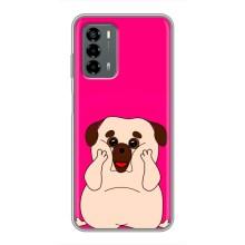 Чехол (ТПУ) Милые собачки для Blade V40 Vita – Веселый Мопсик