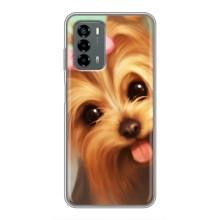 Чехол (ТПУ) Милые собачки для Blade V40 Vita – Йоршенский терьер