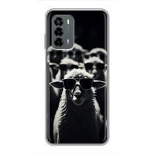 Чехол с принтом стильные животные для Блейд В40 Вита (Овечка в очках)