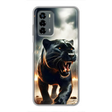 Чехол с картинкой «Хищники» для Blade V40 Vita – Пантера