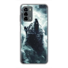 Чехол с картинкой «Хищники» для Blade V40 Vita