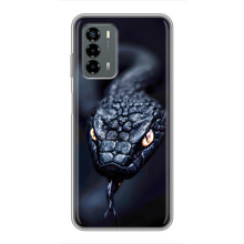 Чехол с картинкой «Хищники» для Blade V40 Vita – Змея