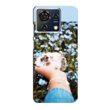 Чохли з зображенням різних тварин на ZTE Blade V50 Vita (Їжачок в руці)