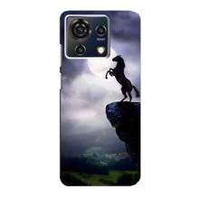 Чохли з зображенням різних тварин на ZTE Blade V50 Vita (Кінь)