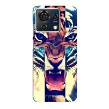 Чохли з зображенням різних тварин на ZTE Blade V50 Vita (Яскравий Тигр)