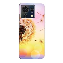 Чохол з картинкою (Стильні) ZTE Blade V50 Vita - (AlphaPrint) (Кульбабка)