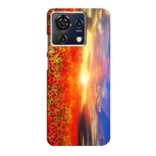 Чохол з картинкою (Стильні) ZTE Blade V50 Vita - (AlphaPrint) (Поле тюльпанів)