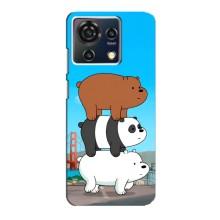 Чехлы с Пандами на ZTE Blade V50 Vita – Друзья