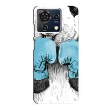 Чехлы с Пандами на ZTE Blade V50 Vita – Панда боксер