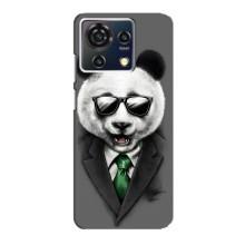 Чехлы с Пандами на ZTE Blade V50 Vita – Панда в очках