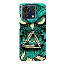 Чохли з принтом СОВИ для ZTE Blade V50 Vita – Зелена сова