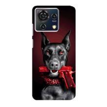 Чехол ДОБЕРМАН для ZTE Blade V50 Vita – Доберман злой