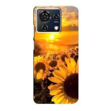 Чехол с Цветами для ZTE Blade V50 Vita (поле подсолнухов)