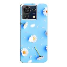 Чехол с Цветами для ZTE Blade V50 Vita (ромашки на голубом)