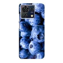 Чехол с изображением  вкусной еды для ZTE Blade V50 Vita – Голубика