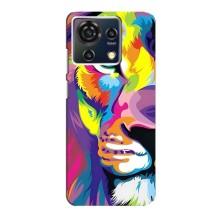 Чехол с картинкой на ZTE Blade V50 Vita – Яркий Лев